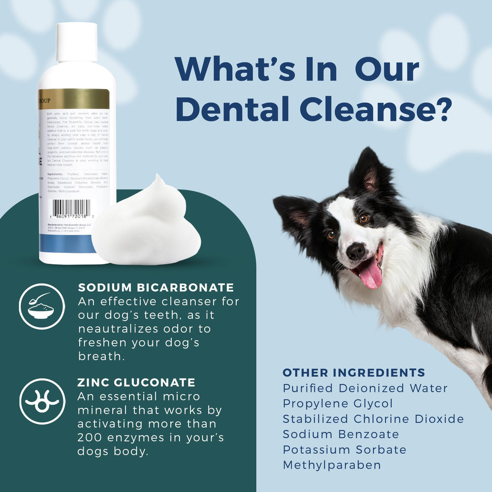Petscy Dental Cleanse — utilisation sans brossage pour gagner du temps.