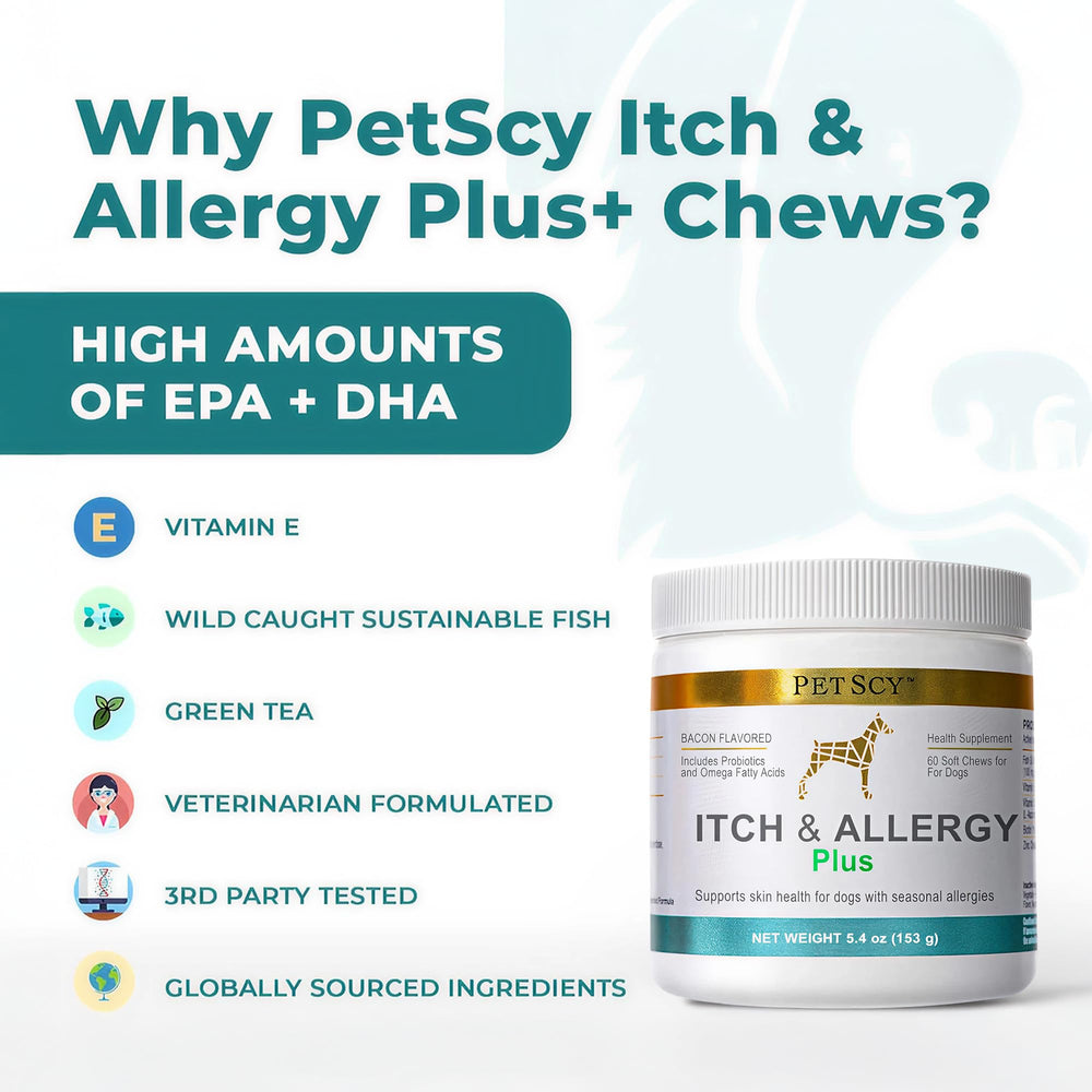 Utilisation quotidienne Petscy: soutien possible peau et immunité