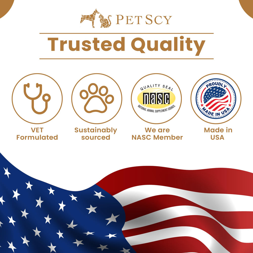 Confort peau sensible sans résidu gras grâce à Petscy Keto Skin Relief Mousse