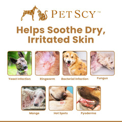 Zones irritées traitées par Petscy Keto Skin Relief Mousse sur chien et chat