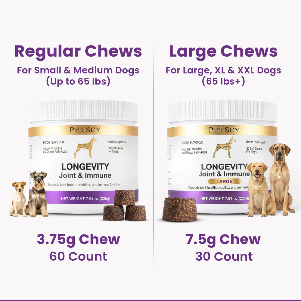 Petscy Longevity – oméga-3 pour peau et digestion.
