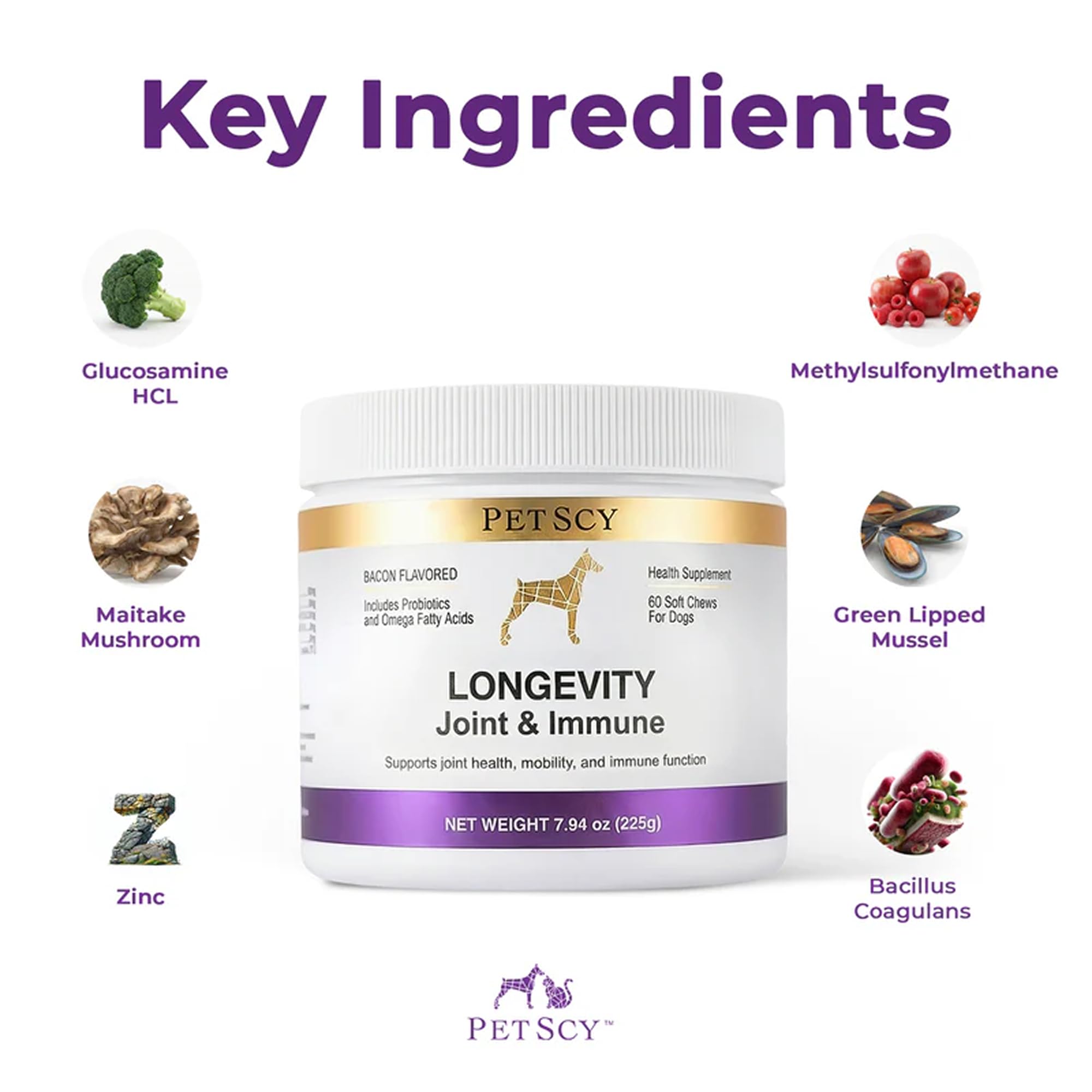 Petscy Longevity – probiotiques pour digestion et équilibre intestinal.