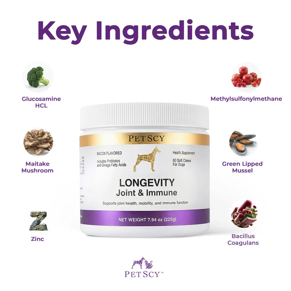 Petscy Longevity – probiotiques pour digestion et équilibre intestinal.