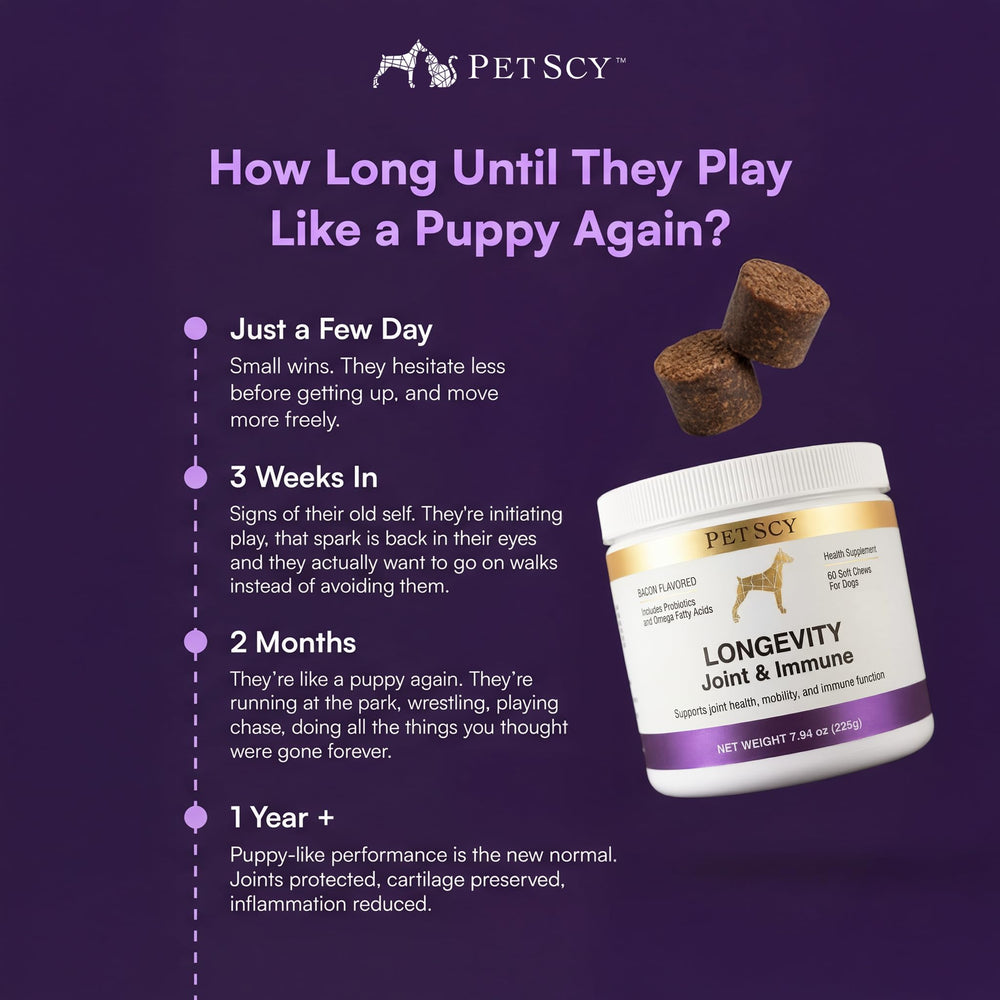 Petscy Longevity – soutien immunitaire via beta-glucane et extraits végétaux.