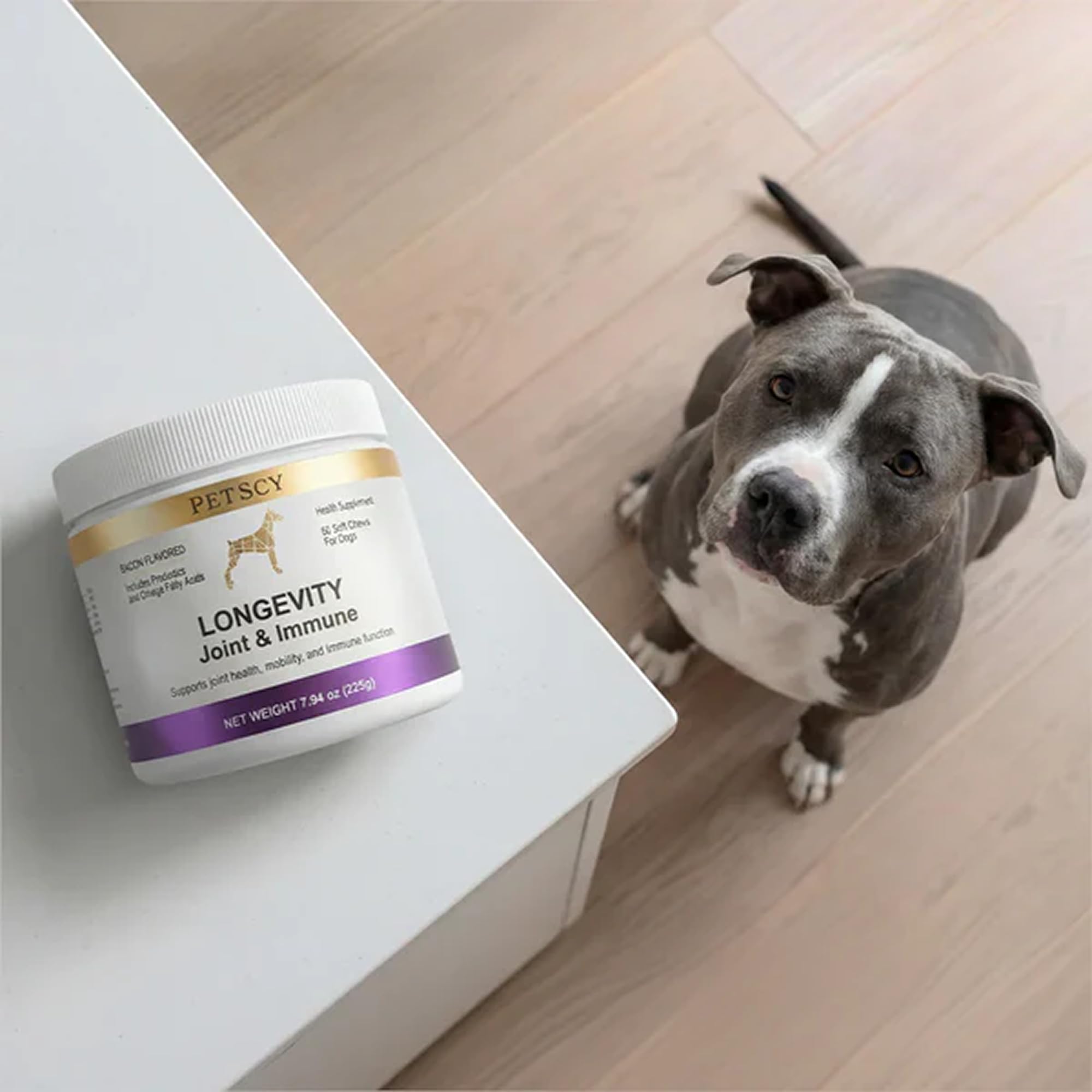 Petscy Longevity – zinc et manganèse pour peau et énergie.