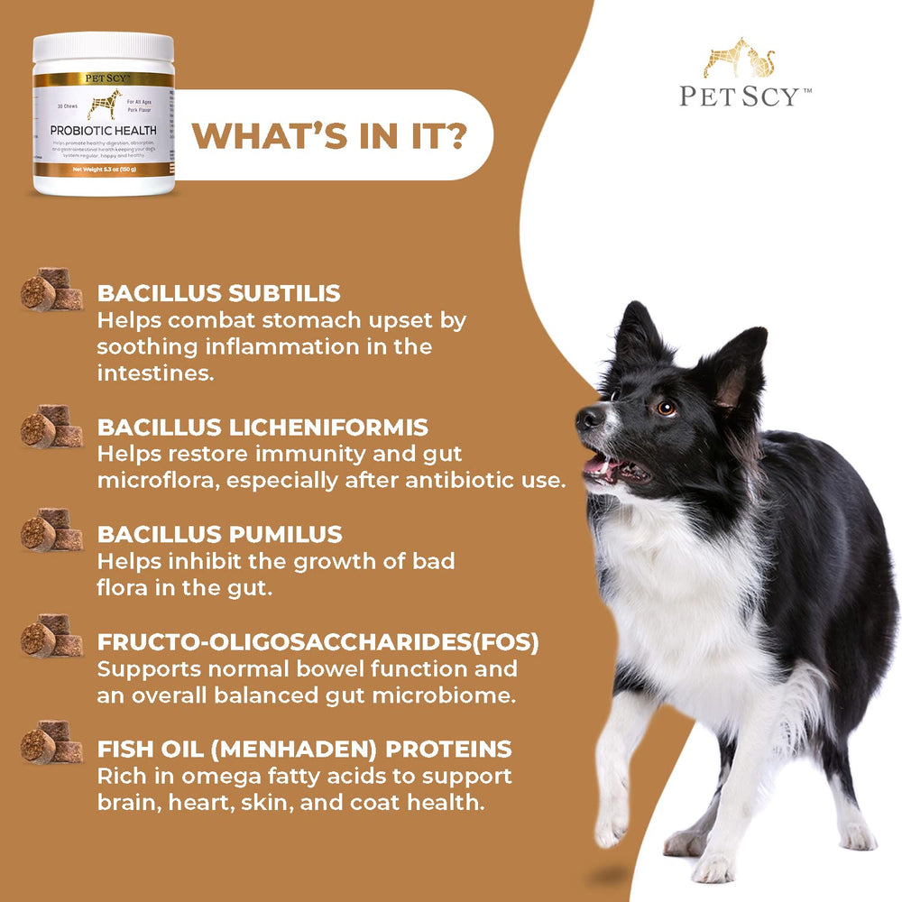 PetScy – pelage brillant grâce aux oméga-3 et probiotiques.