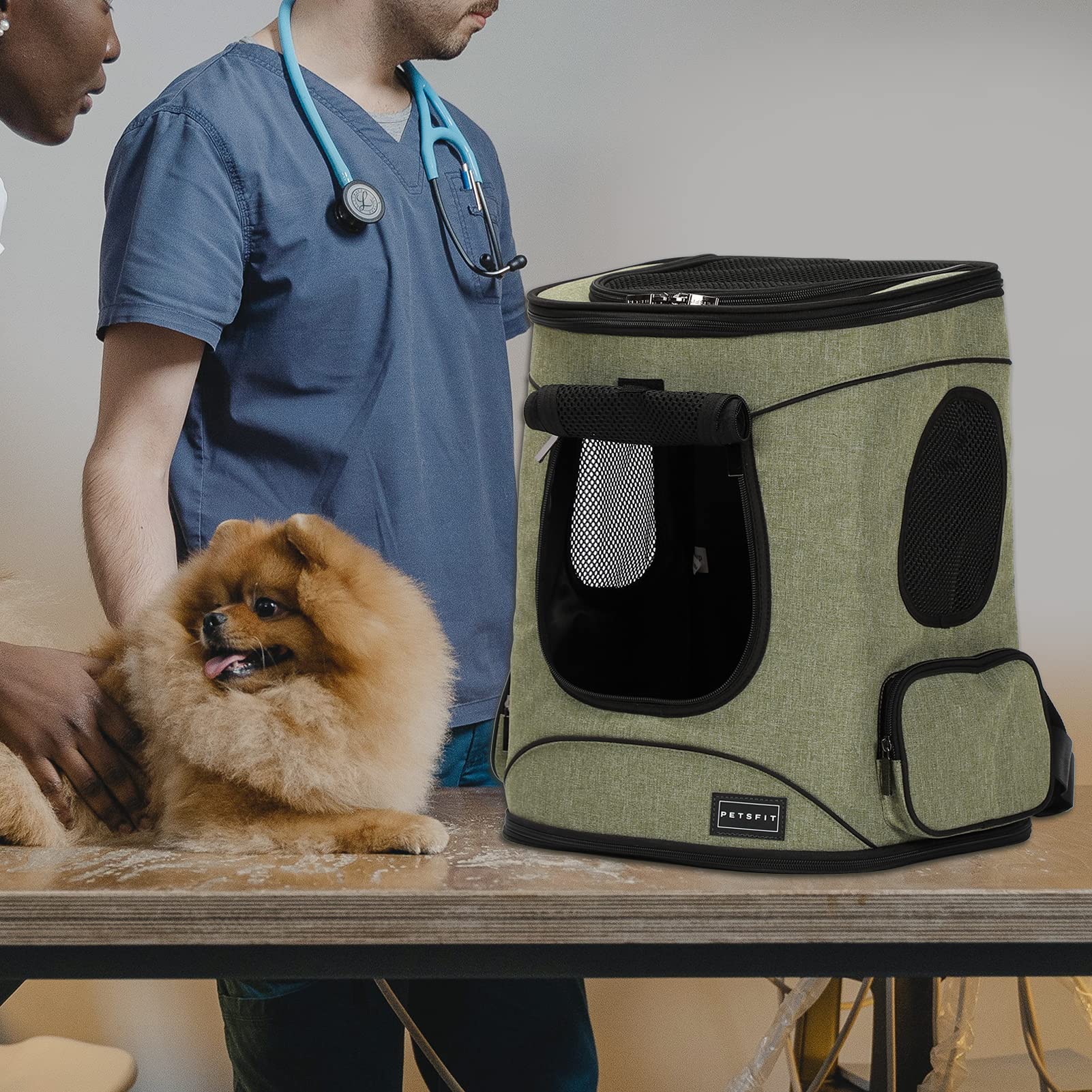 Petsfit bretelles et ceinture améliorent le confort sur longue durée.