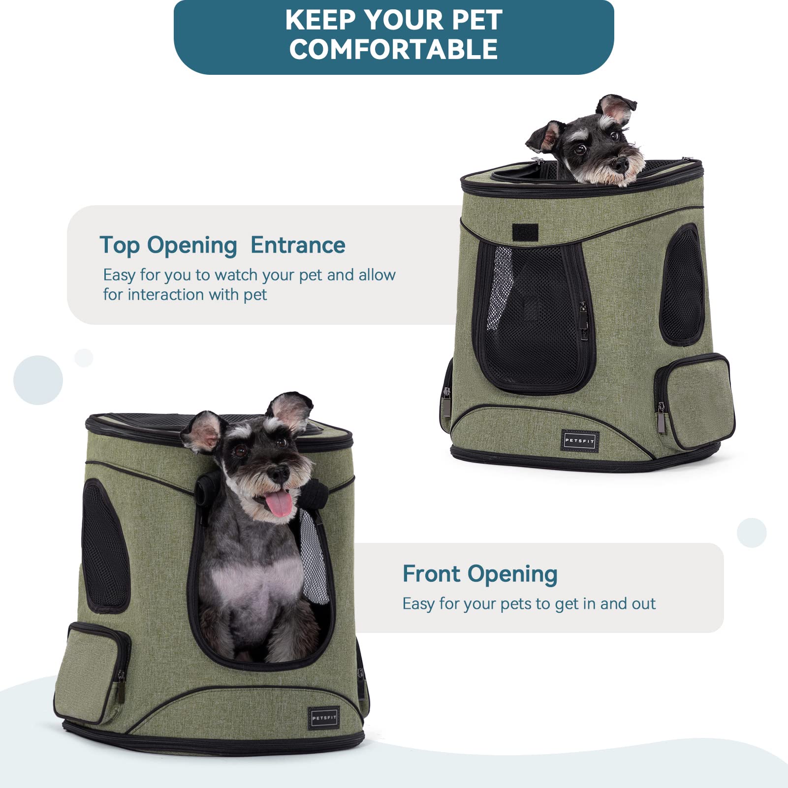 Petsfit design ergonomique pour petites et moyennes races lors de sorties.