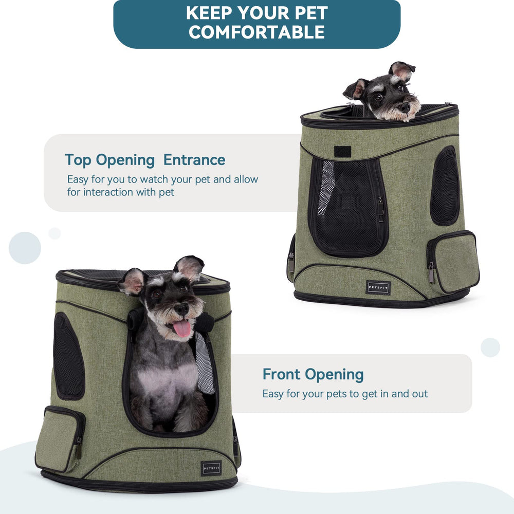 Petsfit design ergonomique pour petites et moyennes races lors de sorties.