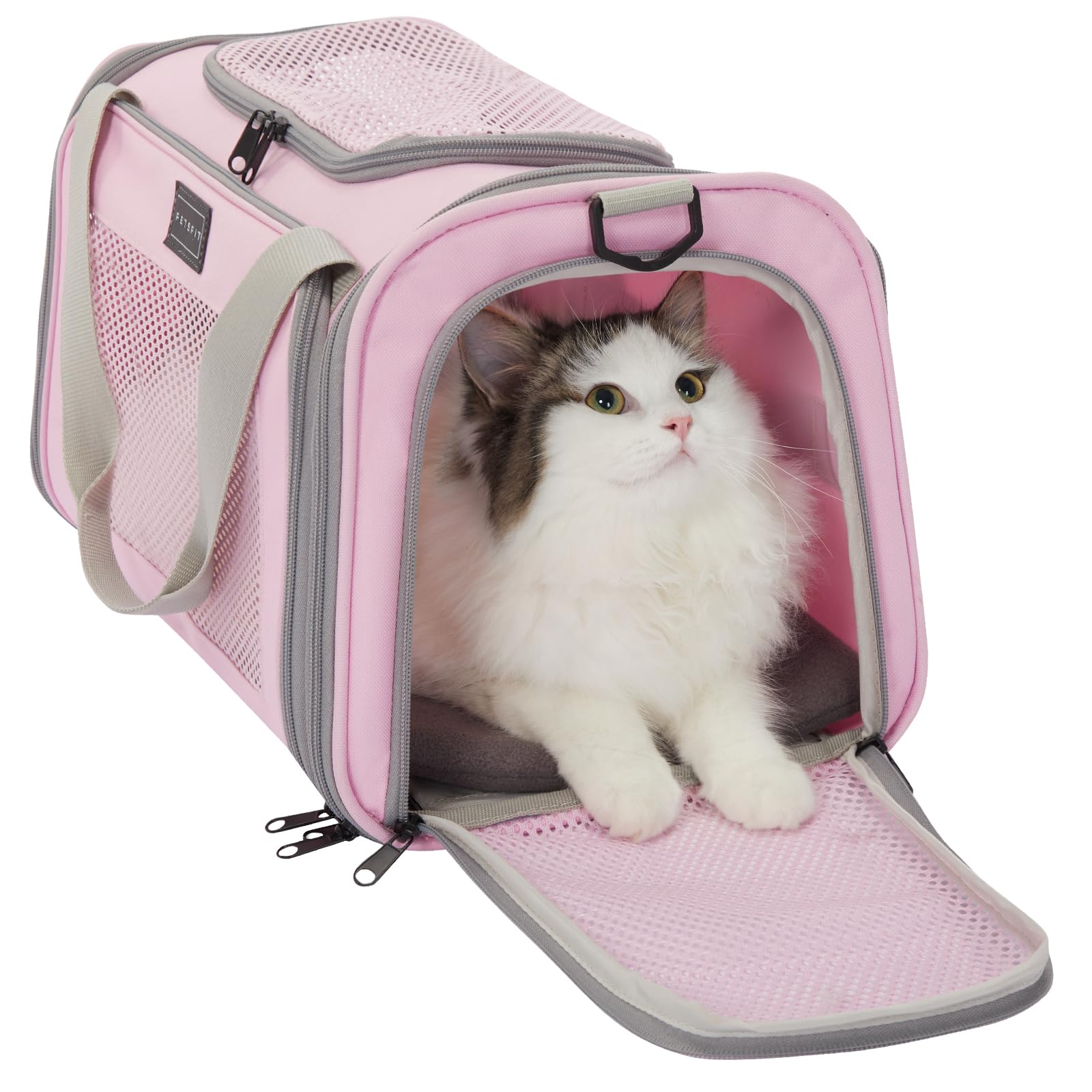 Porte-chat Petsfit en cabine, compact et confortable pour les trajets.