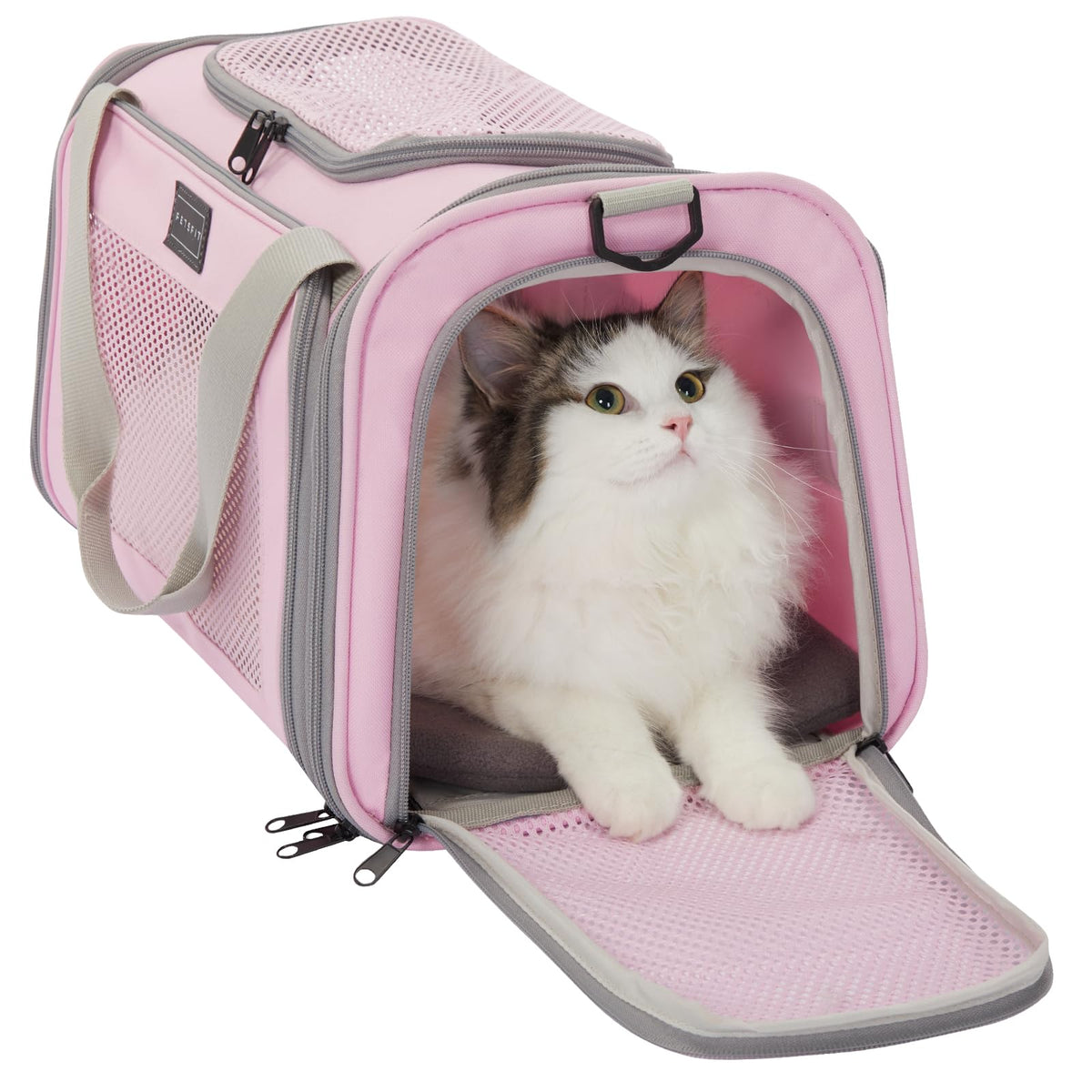 Porte-chat Petsfit en cabine, compact et confortable pour les trajets.