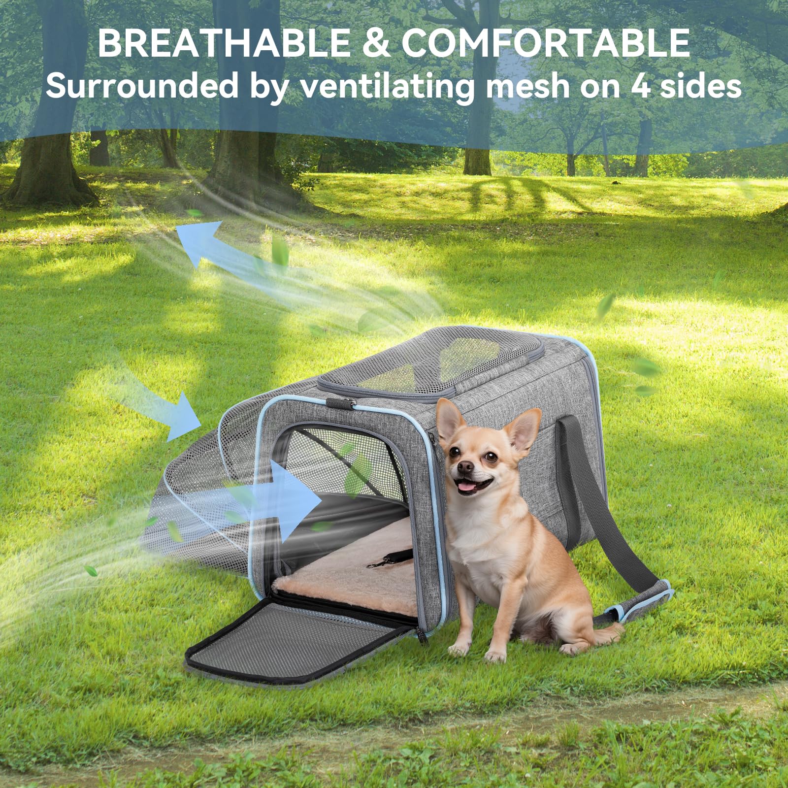 Petsfit securite fermetures antivol: sécurité renforcée pendant les déplacements.