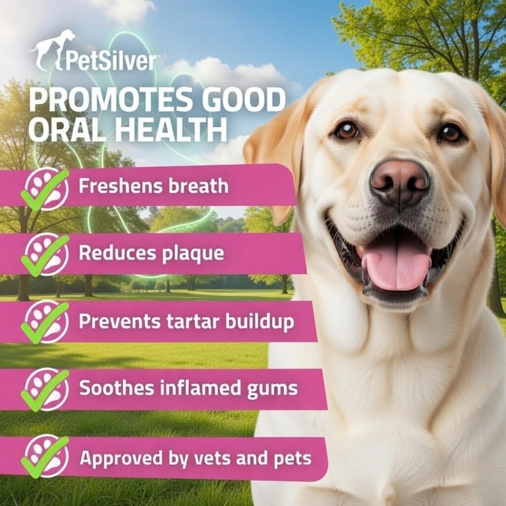 PetSilver application rapide quotidienne pour l’entretien dentaire sans brossage