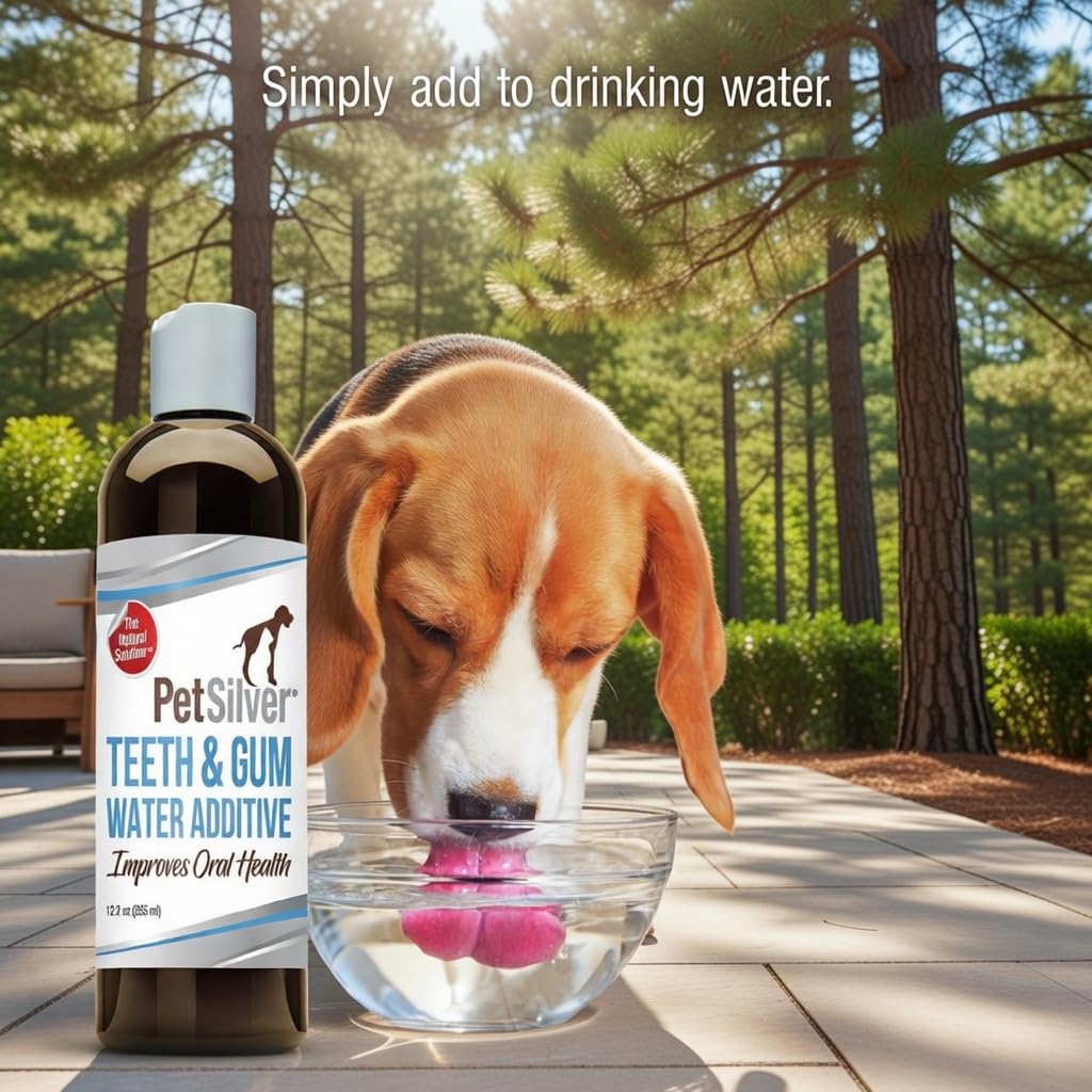 PetSilver chat buvant l eau dentaire, bouche plus propre.