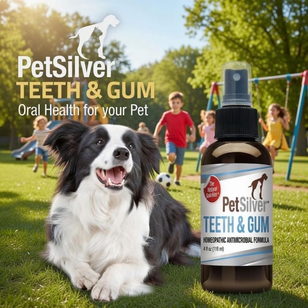 PetSilver contenu-4onces – flacon facile à manier