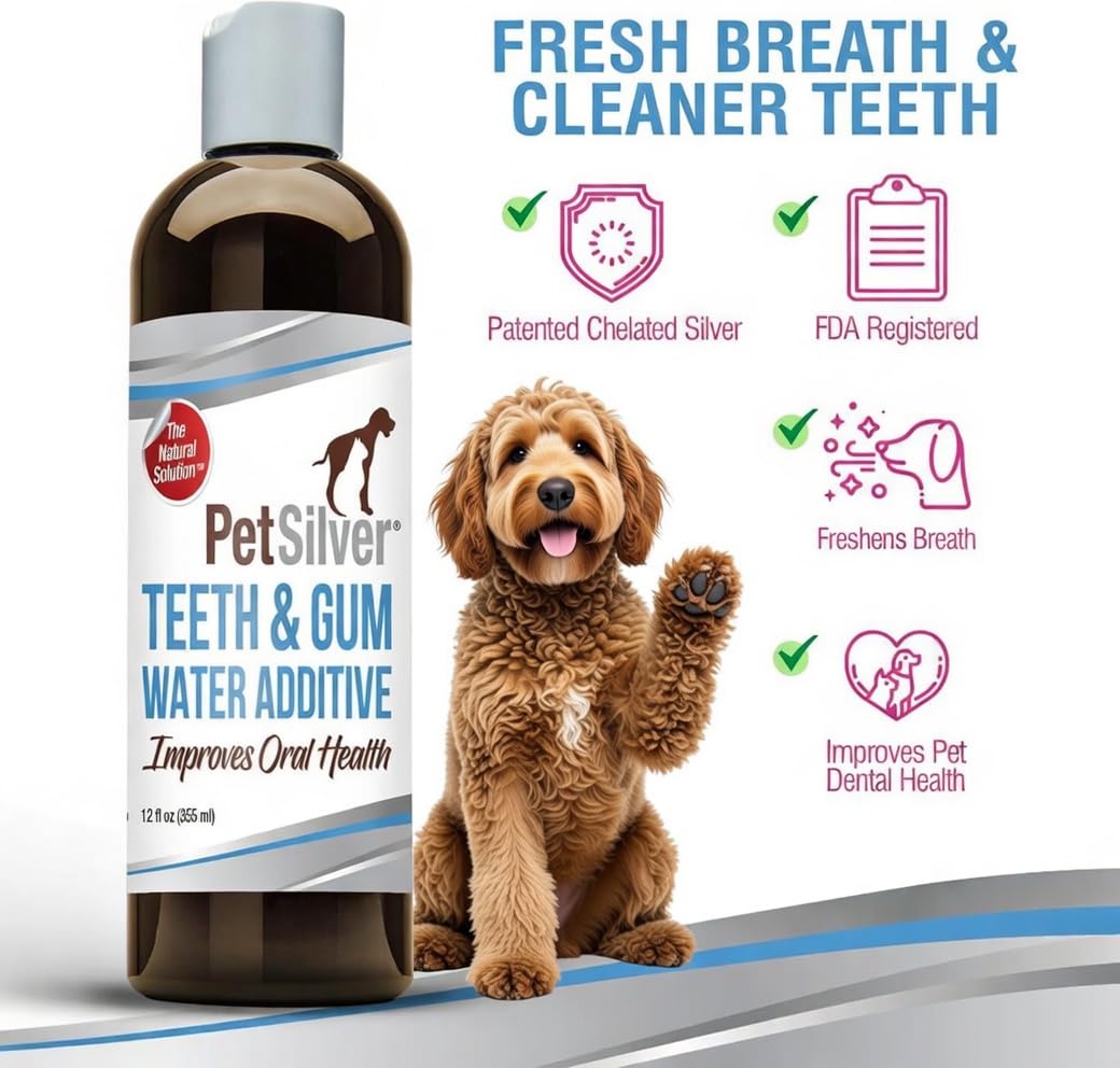 PetSilver eau dentaire dans bol, pratique et facile à utiliser.