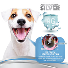 PetSilver gencives et dents nettes grâce à l additif.
