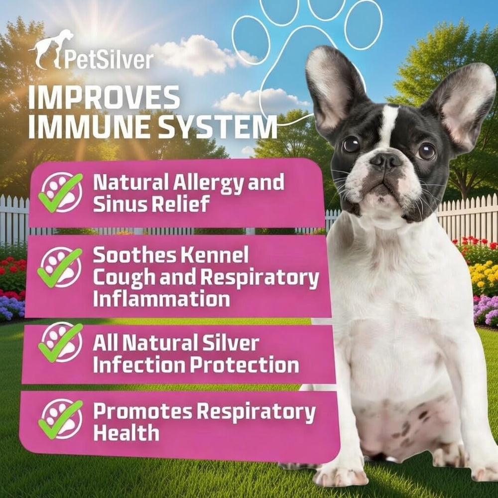 PetSilver solution pour nébulisation naturelle, soutien respiratoire pour chiens et chats.