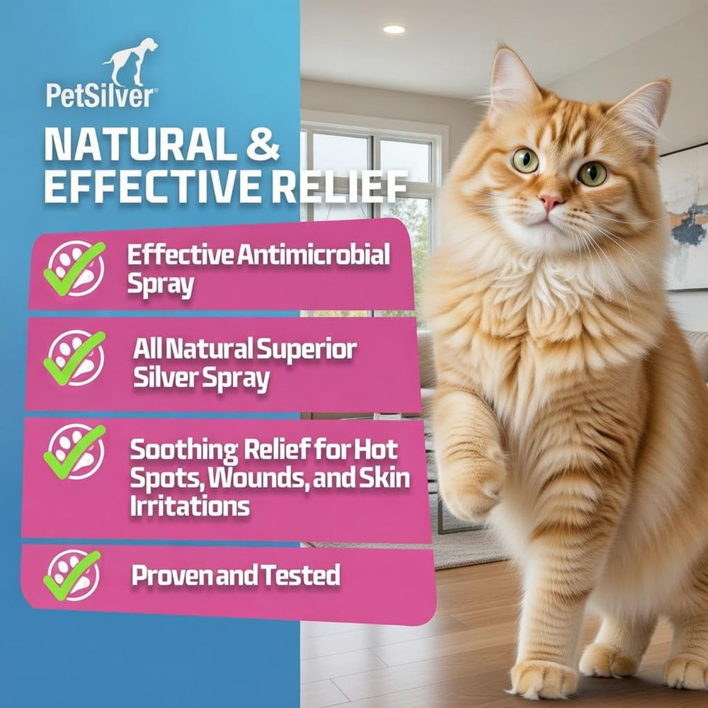 PetSilver Wound & Skin Spray – usage sur les pattes irritées du chat.