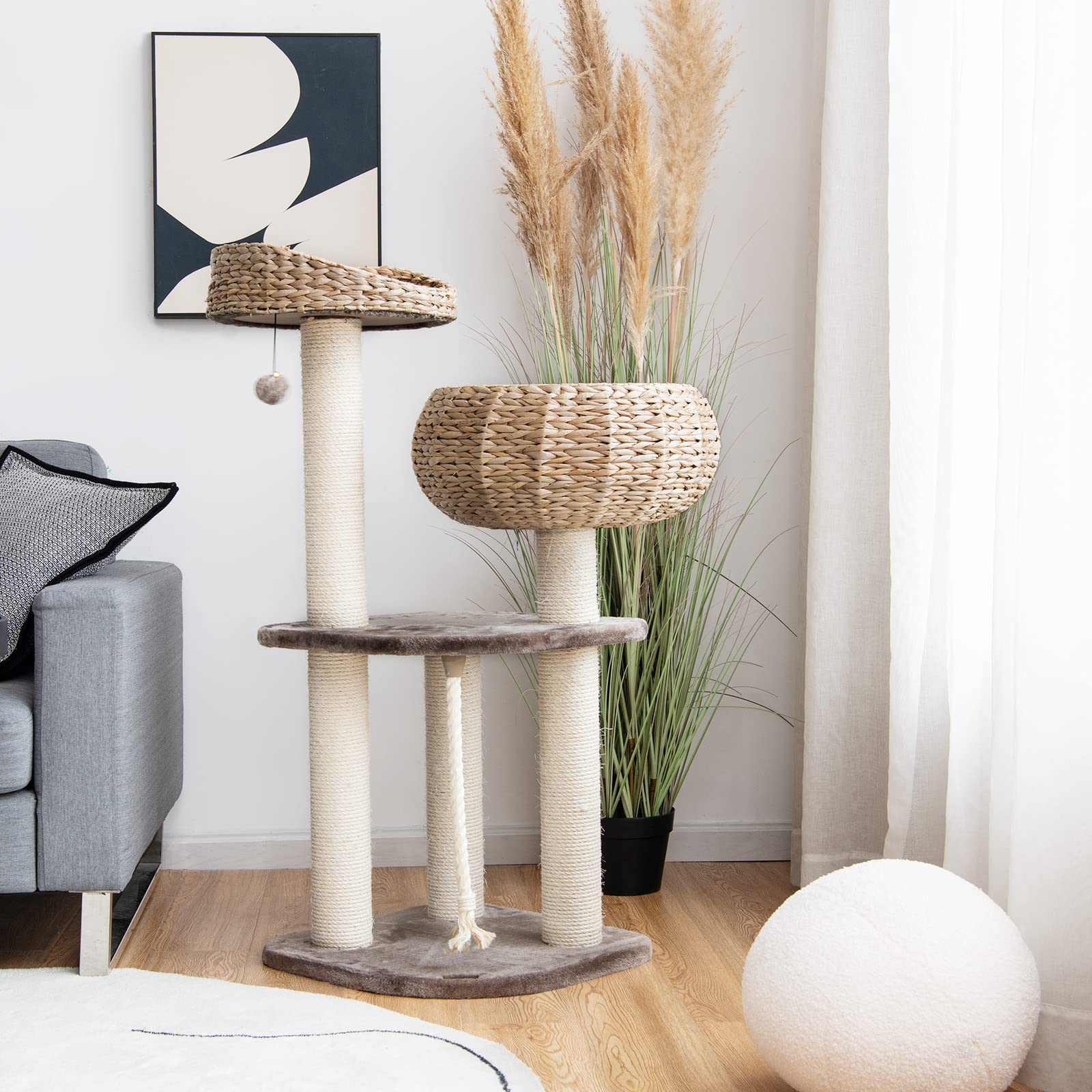 PETSITE matériaux jacinthe d'eau naturel et cadre MDF durables