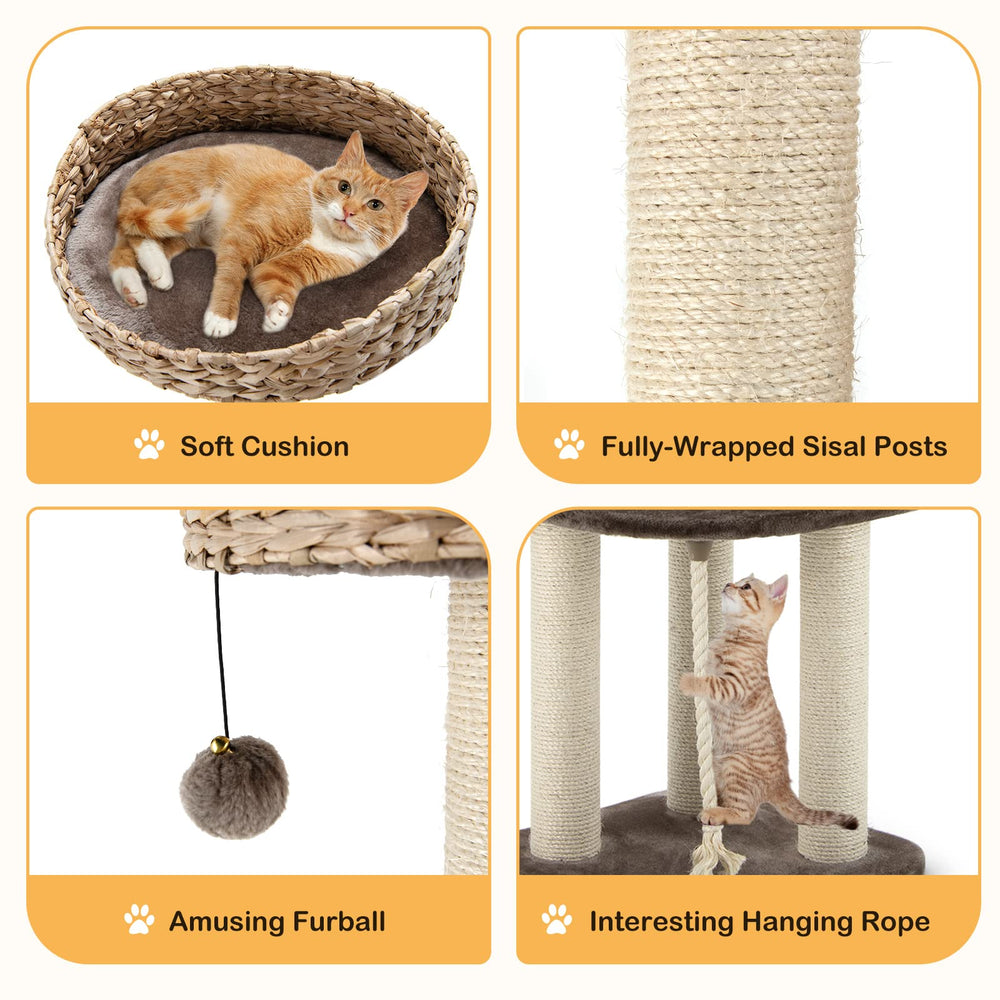 PETSITE arbre-chat multi-niveaux avec étages robustes jusqu’à 22 lb par étage