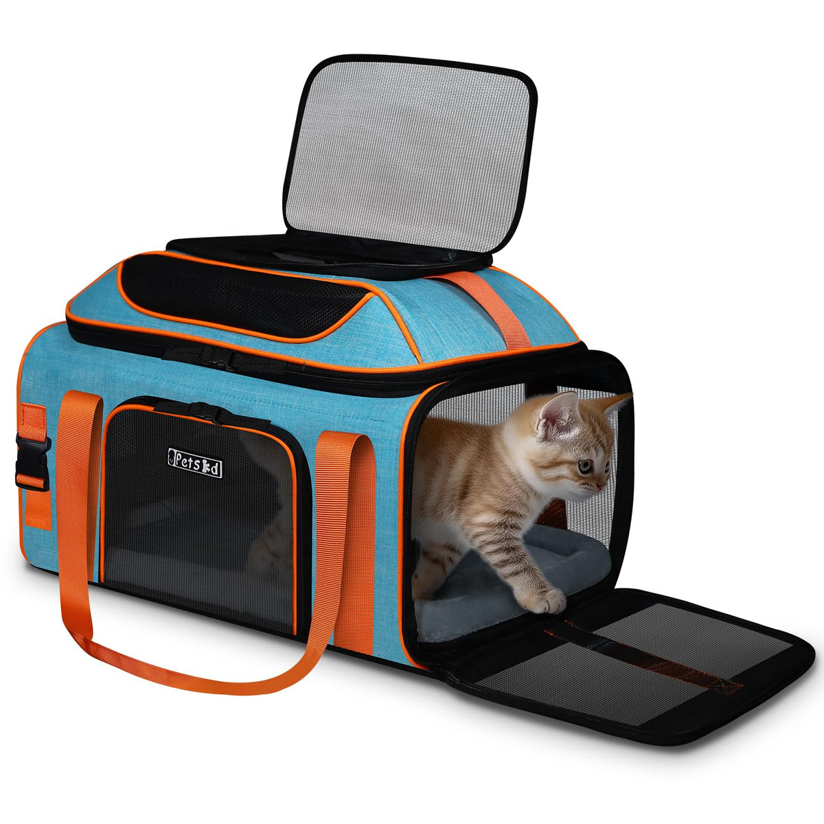 Petskd porte-chat-chien sous-siege bleu, pratique pour voyager avec petit animal.