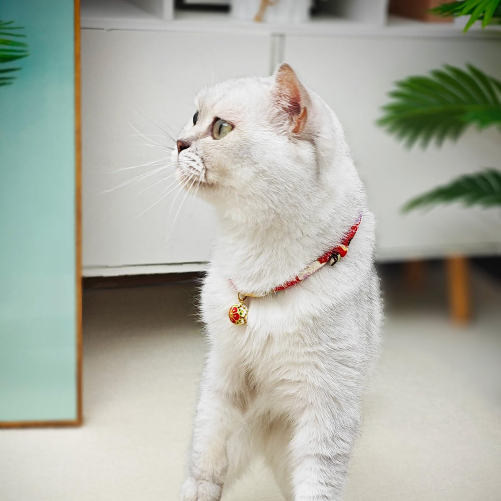 PetsMeow collier avec boucle de sécurité anti accrochage lors du jeu