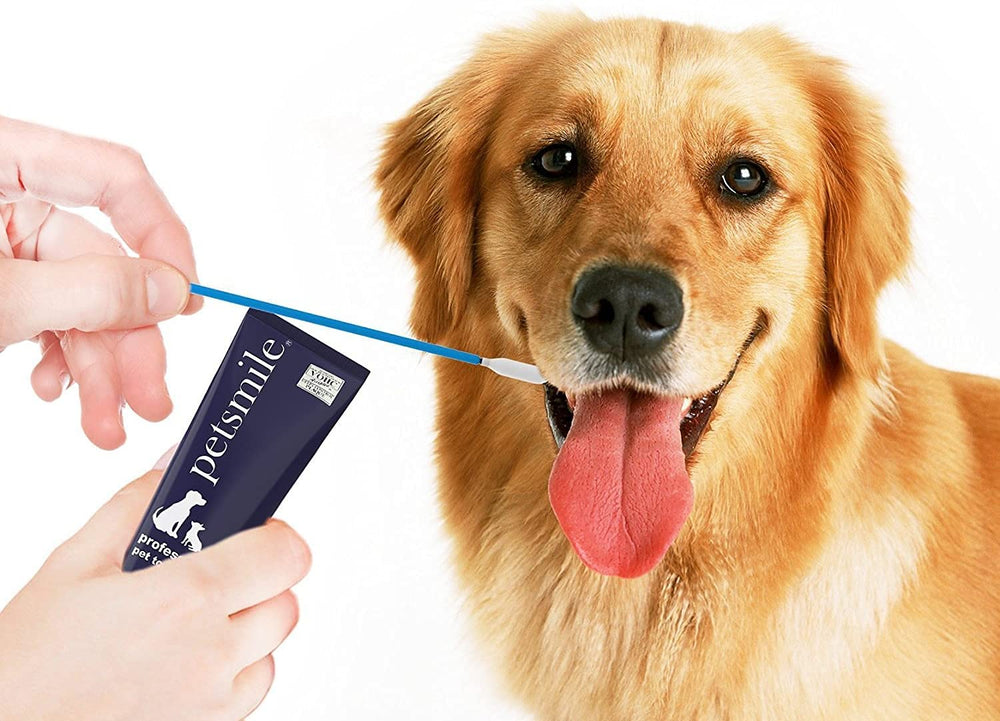 Associer avec le dentifrice Petsmile pour une routine pratique.