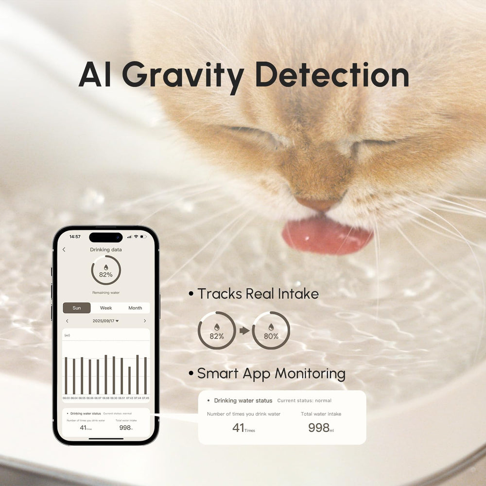 OilClear AI: chauffage à température constante pour des gorgées confortables