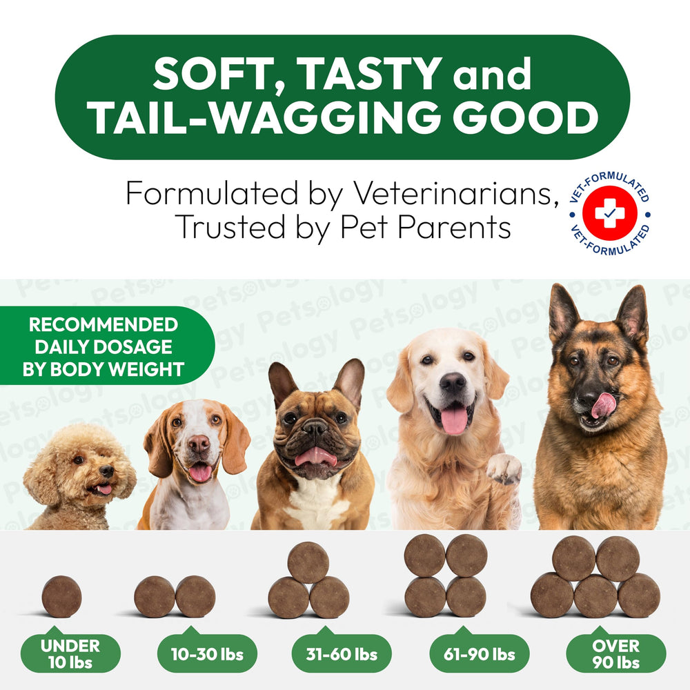 Étiquette Made in USA sur l’emballage Petsology pour chien.