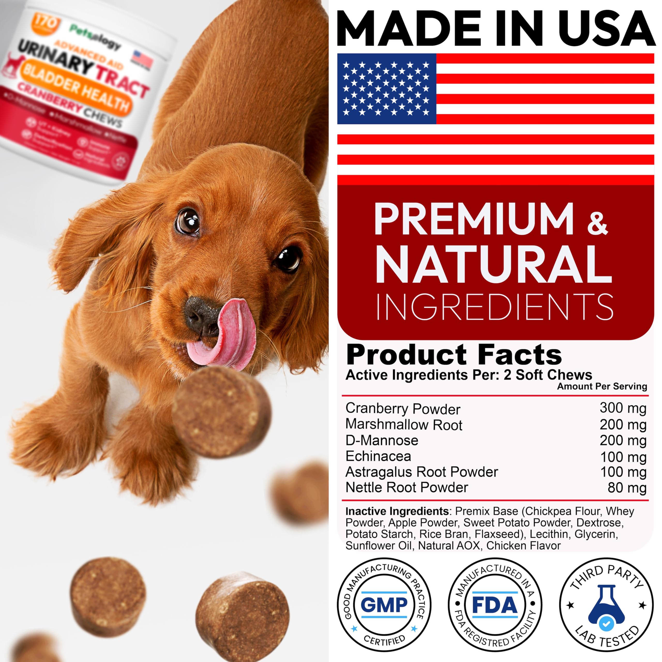 Petsology bouchées pour chien, texture agréable, sourire du propriétaire.