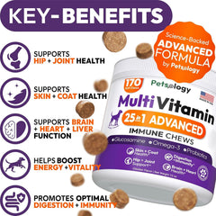 Petsology Chien Multivitamine : comprimés à mâcher faciles pour la routine quotidienne.