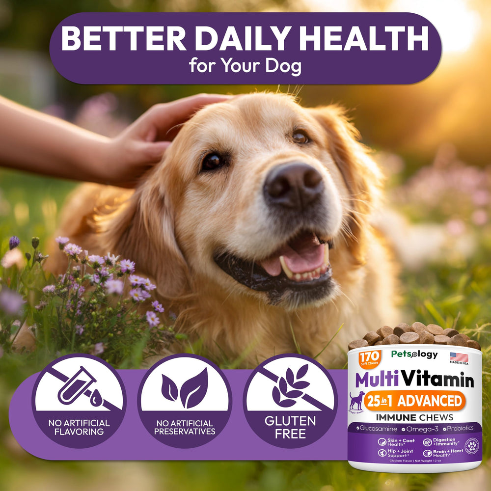 Petsology Chien Multivitamine : peau et poil sains grâce aux nutriments essentiels.