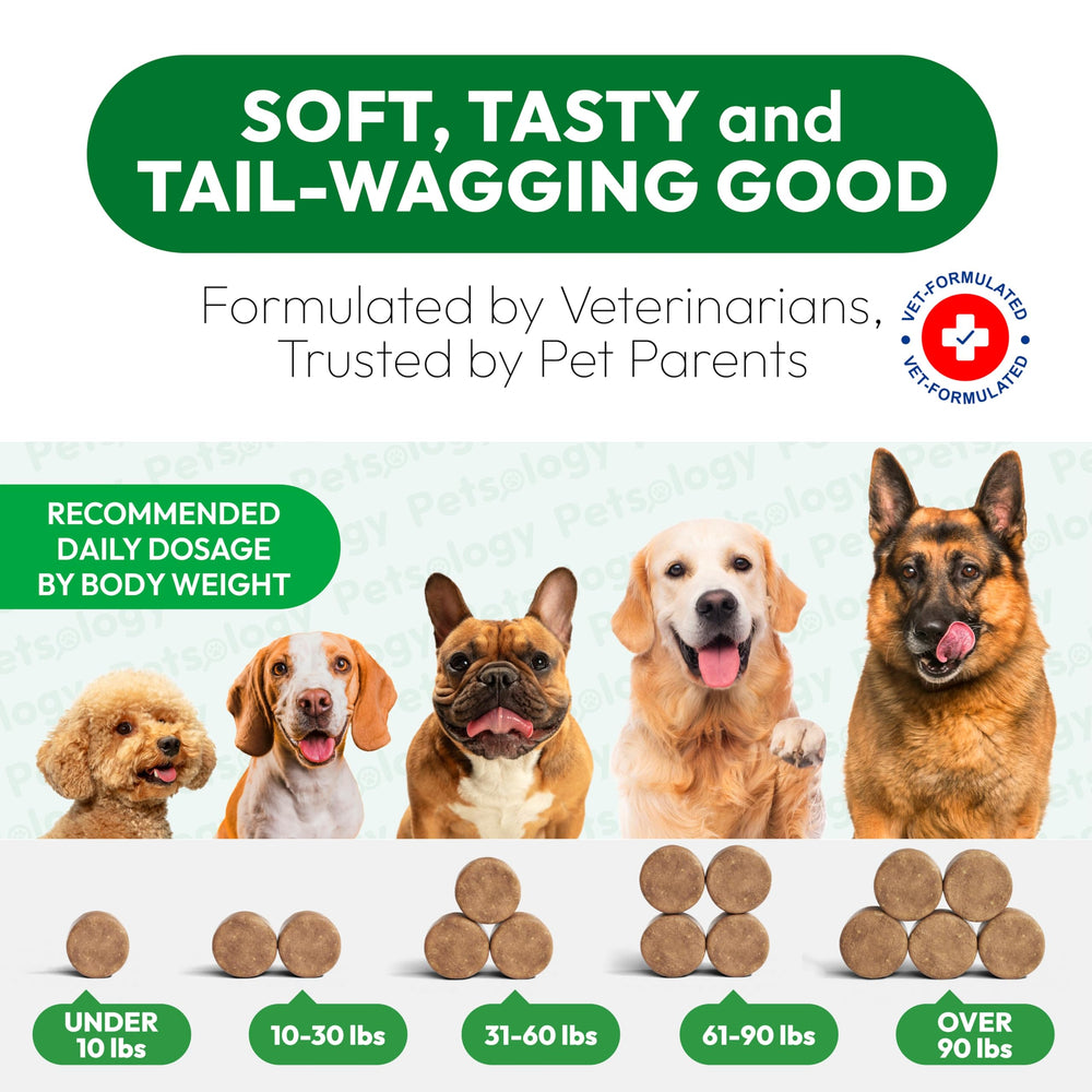 Petsology conseils d’utilisation quotidiens pour chiens