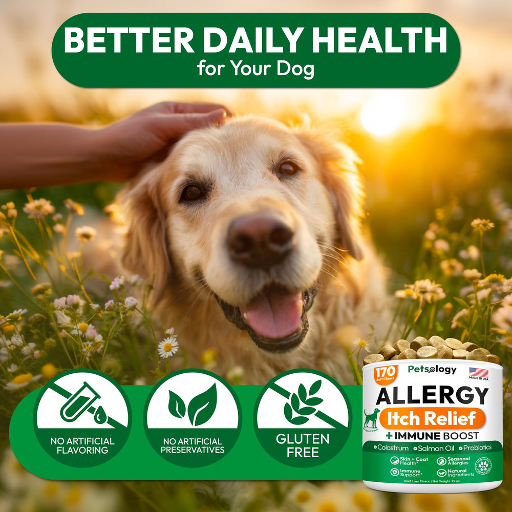 Petsology Dog Allergy Relief Chews, mode utilisation simple et intégration facile.
