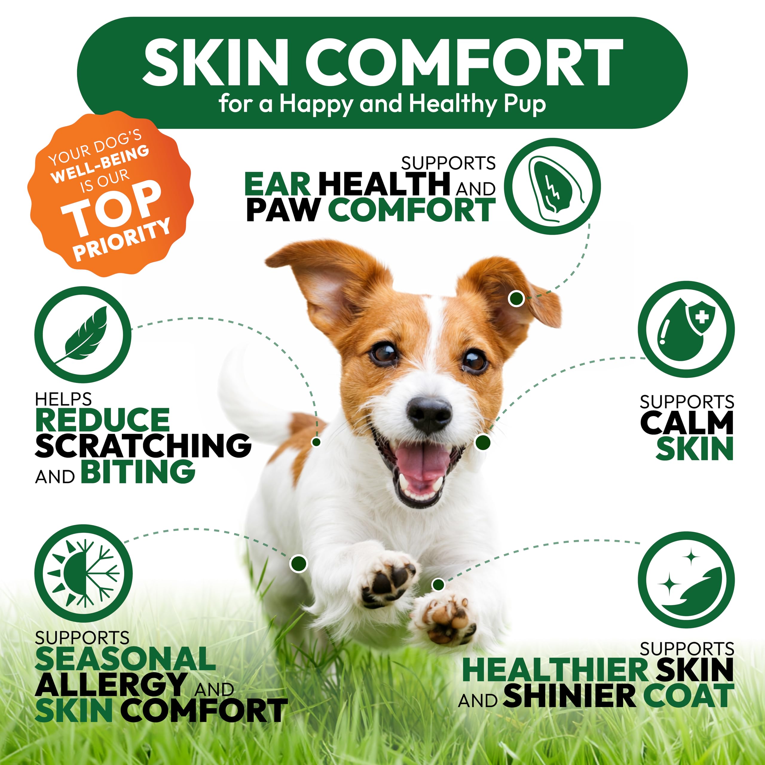 Petsology Dog Allergy Relief Chews, oméga-3 pour peau saine et pelage brillant.