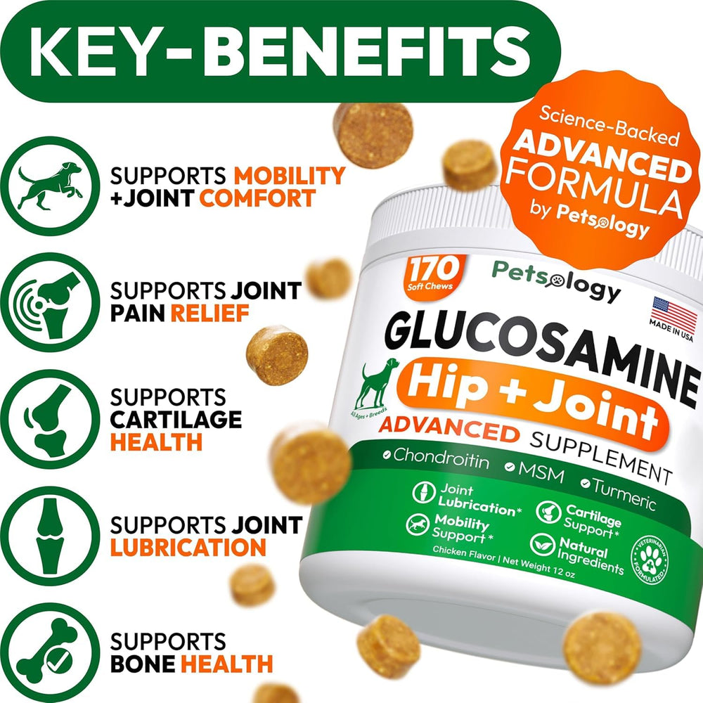 Petsology Glucosamine pour chiens – bouchées 340 mobilité, texture facile à donner