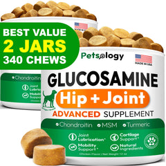 Petsology Glucosamine pour chiens – bouchée en bouteille, présentation 2 paquets, soutien mobilité