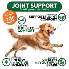 Ingrédients naturels Petsology Glucosamine – composants bénéfiques pour articulations canines