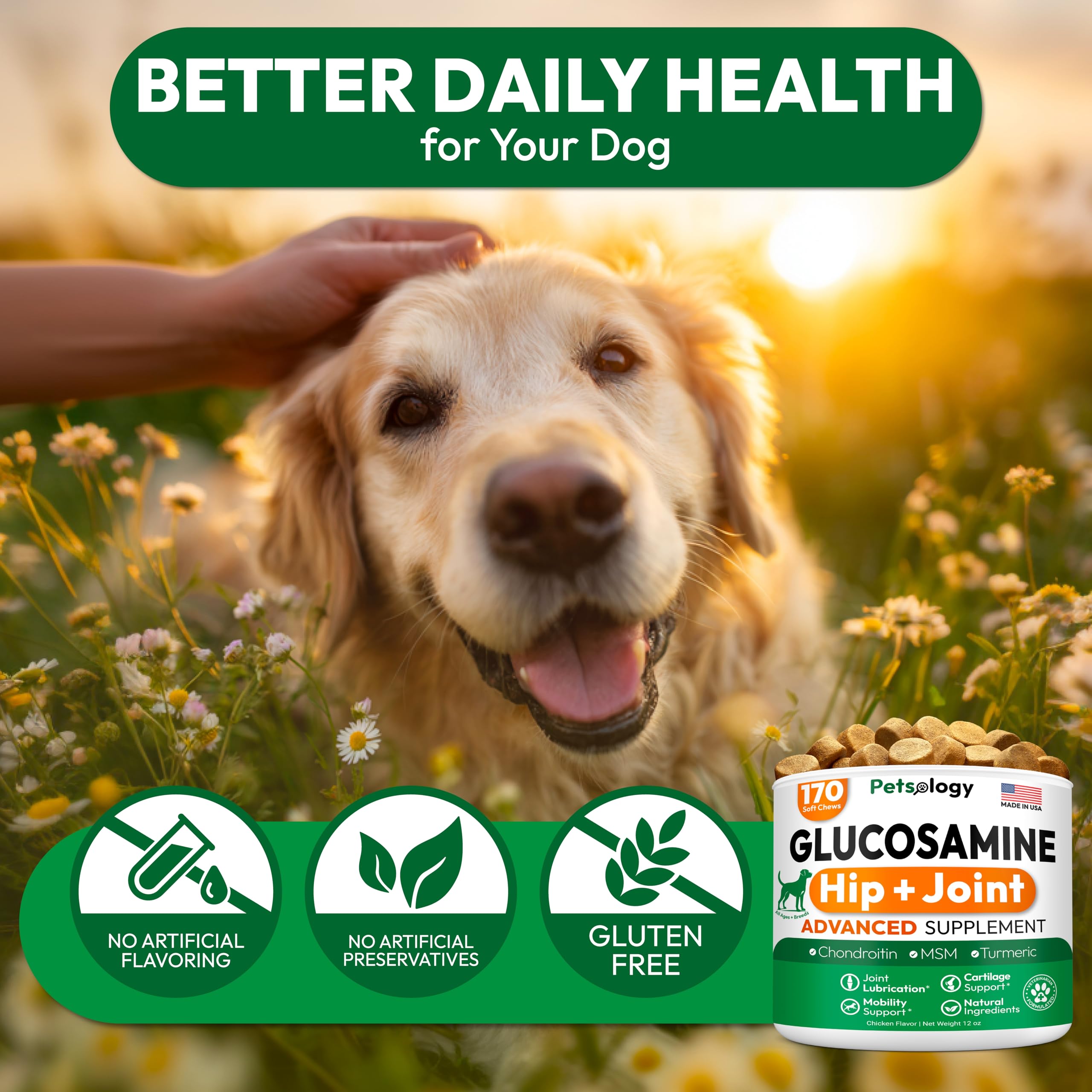Formule vétérinaires Petsology Glucosamine – conception professionnelle pour chiens