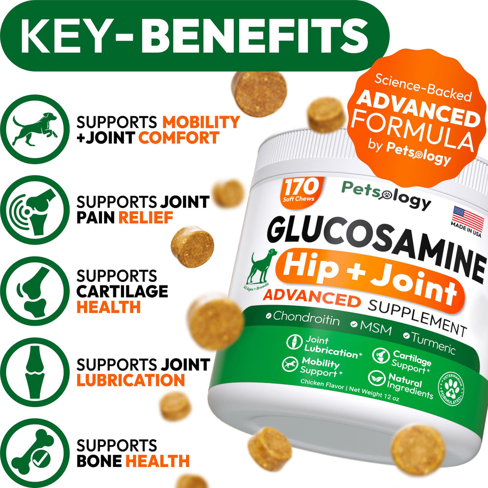 Friandises Petsology Glucosamine pour chiens: soutien potentiel à la mobilité.