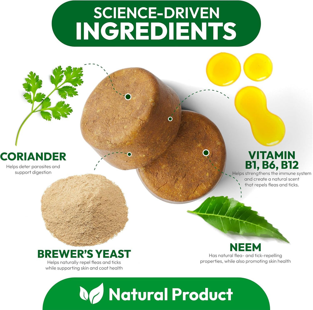 Petsology ingrédients-naturels-puces-tiques: formulation naturelle pour le confort quotidien du chien.