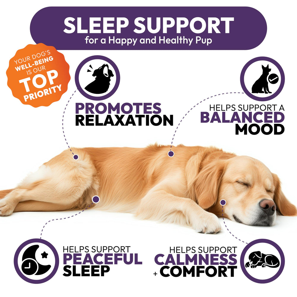 Petsology Mélatonine pour chien – apaise lors des orages nocturnes