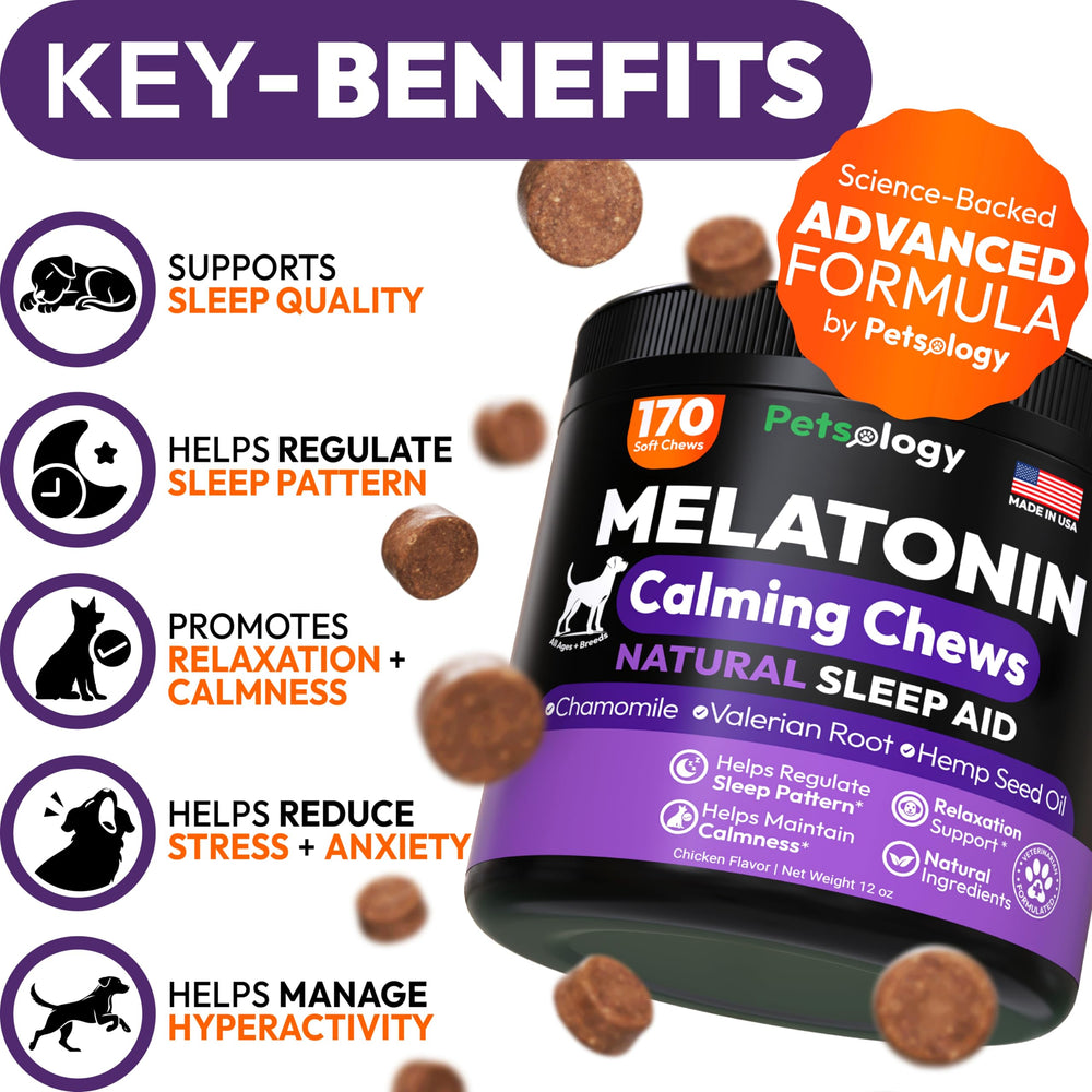 Petsology Mélatonine pour chien – bouchées faciles à prendre dans la main