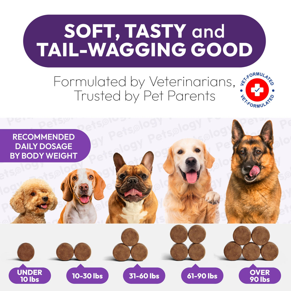 Petsology Mélatonine pour chien – ingrédients premium et naturels