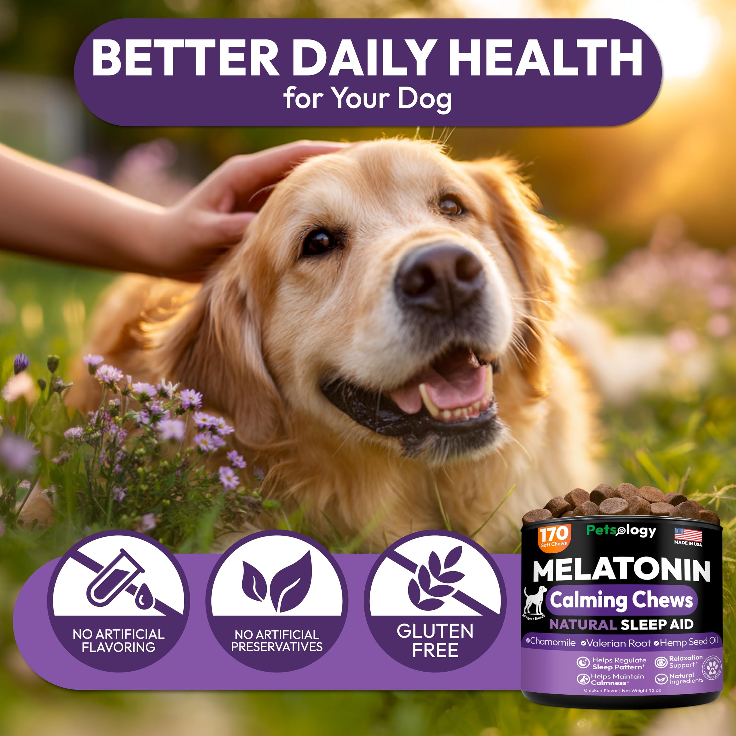 Petsology Mélatonine pour chien – formule naturelle et premium