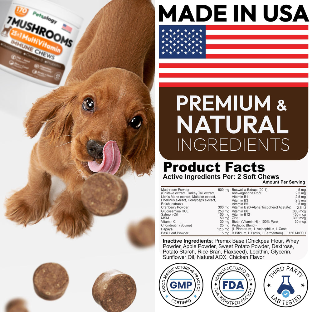 Petsology mobilité et articulations: glucosamine intégrée pour chiens.