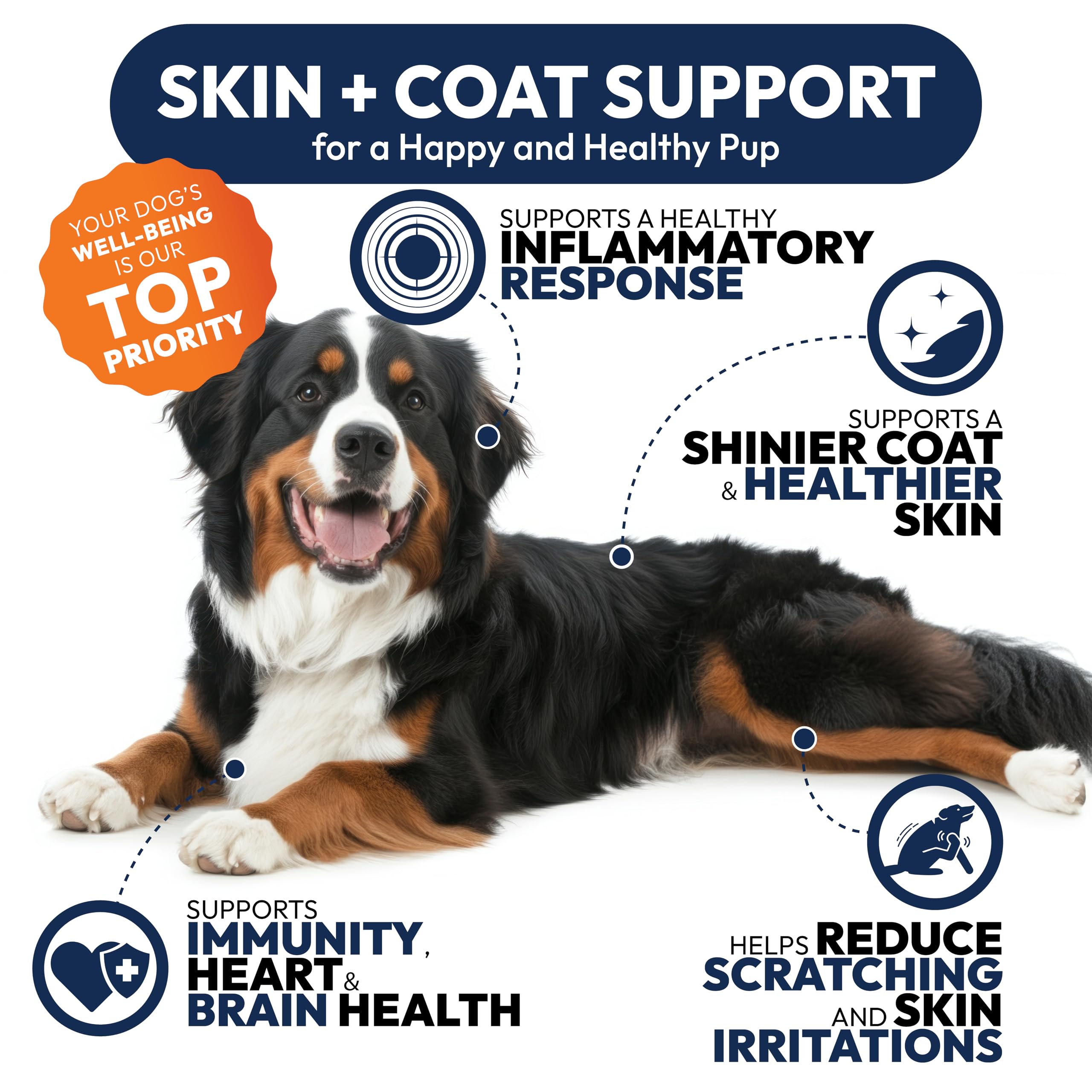 Petsology Omega-3 pour chien – soutien des démangeaisons et allergies possibles.