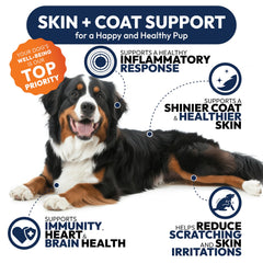 Petsology Omega-3 pour chien – soutien des démangeaisons et allergies possibles.