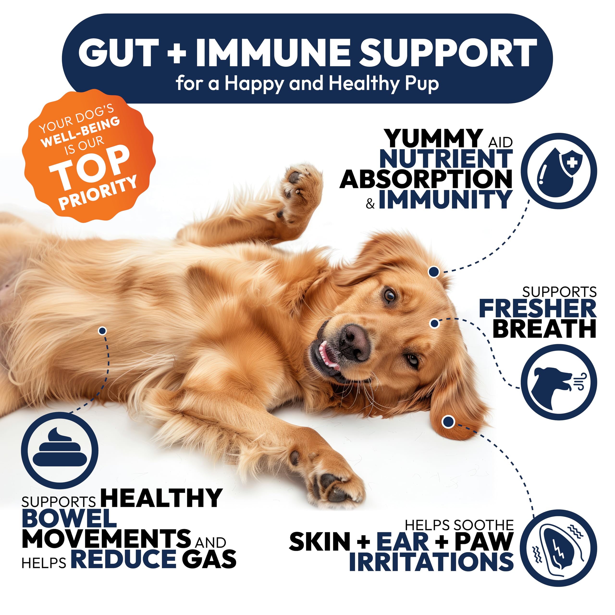 Petsology Probiotiques chiens — dosage quotidien simple pour le soutien digestif.